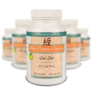 Gui Zhi Fu Ling Wan