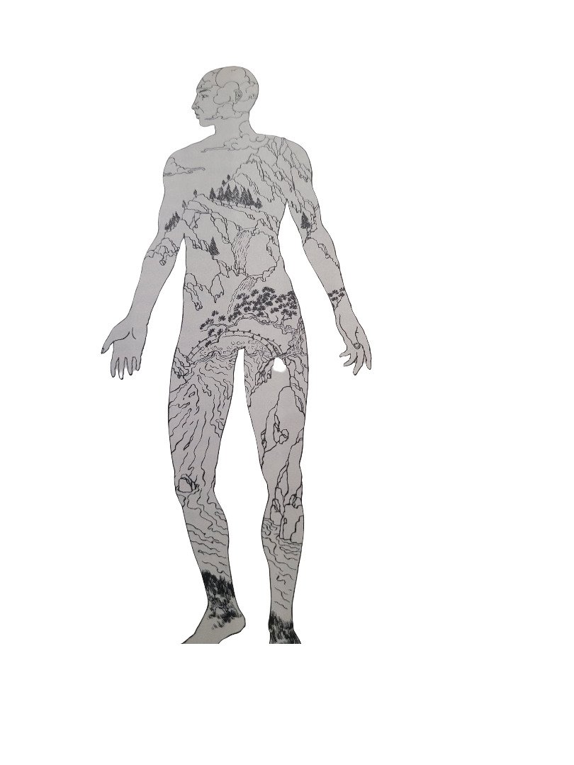  Human body